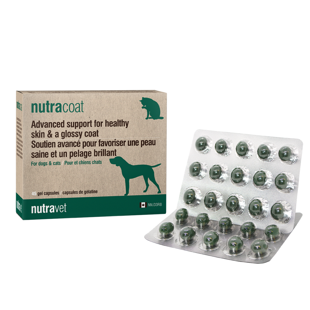 Ayurvet Vitacharm Skin and Coat Supplement for Pets (Dogs & Cats)- Plant  Based- Ensures Healthy Skin & Coat, Controls Hair Shedding