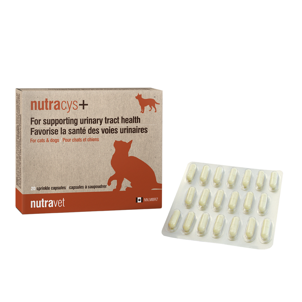 Nutracys+ – support for healthy urinary tract function - Nutravet